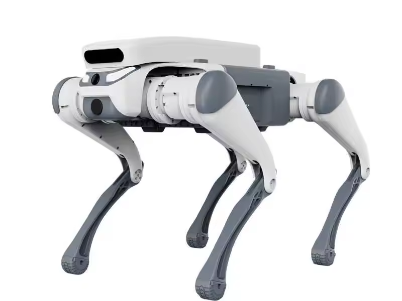 Stunt-Fernbedienung, Lernspiel – Remote Control Toys Bewertung und Preis